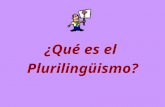 ¿Qué es el Plurilingüismo? MOTIVOS PARA APRENDER IDIOMAS EN EL NUEVO CURRÍCULO: S O C I A L E S PLAN DE FOMENTO DEL PLURILINGÜISMO LA IMPORTANCIA DE.