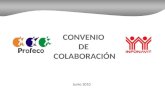 CONVENIO DE COLABORACIÓN Junio 2010. Colaboración Ambas instituciones establecen como centro de atención a los derechohabientes-consumidores en sus respectivas.