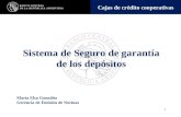 Sistema de seguro de garantía de los depósitos 1 Cajas de crédito cooperativas Sistema de Seguro de garantía de los depósitos María Elsa González Gerencia.