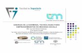 BIOMASA Energia de La Biomasa en Misiones Argentina IMBERT