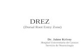 DREZ (Dorsal Root Entry Zone) Dr. Jaime Krivoy Hospital Universitario de Caracas Servicio de Neurocirugía.
