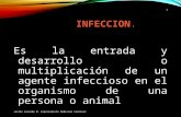 INFECCION. Es la entrada y desarrollo o multiplicación de un agente infeccioso en el organismo de una persona o animal Julián Laverde M. Especialista Medicina.