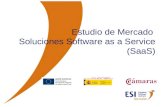 © ESI 20091 ESTUDIO DE MERCADO DE SOLUCIONES SaaS Estudio de Mercado Soluciones Software as a Service (SaaS)