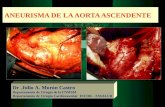 ANEURISMA DE LA AORTA ASCENDENTE Dr.Julio A. Morón Castro Departamento de Cirugía de la UNMSM Departamento de Cirugía Cardiovascular INCOR – ESSALUD.