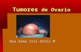 Tumores de Ovario Dra Alma Iris Ortiz M. Embriología.