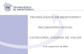 TECNOLÓGICO DE MONTERREY INCUBADORA SOCIAL CATEGORÍA: CADENA DE VALOR 8 de septiembre de 2008.