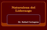 Naturaleza del Liderazgo Dr. Rafael Cartagena. Naturaleza del Liderazgo Definiciones Variadas: - Liderazgo es el proceso de influenciar las actividades.
