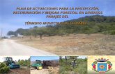 PLAN DE ACTUACIONES PARA LA PROTECCIÓN, RESTAURACIÓN Y MEJORA FORESTAL EN DIVERSOS PARAJES DEL TÉRMINO MUNICIPAL DE LLOMBAI.