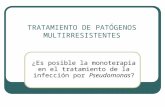 TRATAMIENTO DE PATÓGENOS MULTIRRESISTENTES ¿Es posible la monoterapia en el tratamiento de la infección por Pseudomonas?