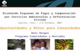 Diseñando Esquemas de Pagos y Compensación por Servicios Ambientales y Deforestación Evitada Iquitos, Peru – 2-4 Octubre, 2007 Oportunidades y Retos para.