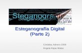 Esteganografía Digital (Parte 2) Córdoba, febrero 2009 Ángela Rojas Matas.