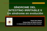 SÍNDROME DEL INTESTINO IRRITABLE II Un síndrome en evolución Paola Saiz Udaeta Violeta Malo de Molina Zamora H. Universitario Insular de Gran Canaria.