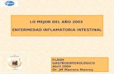 LO MEJOR DEL AÑO 2003 ENFERMEDAD INFLAMATORIA INTESTINAL FLASH GASTROENTEROLÓGICO Abril 2004 Dr. JM Marrero Monroy Foro Gastroenterología las palmas.