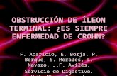 OBSTRUCCIÓN DE ÍLEON TERMINAL: ¿ES SIEMPRE ENFERMEDAD DE CROHN ? F. Aparicio, E. Borja, P. Borque, S. Morales, L. Navazo, J.F. Avilés. Servicio de Digestivo.