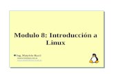Modulo 8: Introducción a Linux Ing. Mauricio Rucci mauricior@ipp.com.ar .