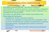 COORDINACIÓN HORMONAL Está bajo el control del SNC: Hipotálamo-Hipófisis. Características: química, general, lenta, duradera, sanguínea Sólo actúan sobre.