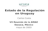 Estado de la Regulación en Uruguay VII Reunión de la ARIAE Oaxaca, México mayo de 2003 Carlos Costa.