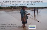 Cambio climático, peces y pesquerías en la Cuenca del Plata Claudio R. M. Baigún Coordinador Programa Peces WI-LAC.