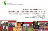 Capital Natural, Servicios Ecosistémicos y DTR Programa Dinámicas Territoriales Rurales Daniela Acuña Reyes Bogotá, Colombia,16 de Marzo de 2010.