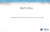 BVS Site Customización de una instancia con bvs-site.