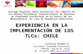 EXPERIENCIA EN LA IMPLEMENTACIÓN DE LOS TLCs: CHILE Diálogo Regional sobre Evaluación del Impacto de los Nuevos Estándares Inernacionales de Derechos de.