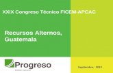XXIX Congreso Técnico FICEM-APCAC Septiembre, 2012 Recursos Alternos, Guatemala.