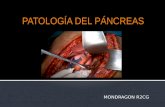 Patologia de Pancreas