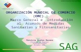 División de Asuntos Internacionales ORGANIZACIÓN MUNDIAL DE COMERCIO (OMC) : Marco General e Introducción al Acuerdo de Medidas Sanitarias y Fitosanitarias.