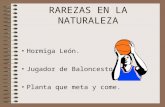 RAREZAS EN LA NATURALEZA Hormiga León. Jugador de Baloncesto. Planta que meta y come.