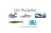 Un Pulpito por Charlotte Diamond. Una sardina, una sardina, nadando en el agua,