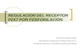 REGULACION DEL RECEPTOR P2X7 POR FOSFORILACIÓN Mª Elena Hernández Álvarez. Departamento de Bioquímica y Biología Molecular IV. Facultad de Veterinaria.
