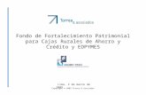 Copyright ® 2009 Torres & Asociados Fondo de Fortalecimiento Patrimonial para Cajas Rurales de Ahorro y Crédito y EDPYMES Lima, 2 de marzo de 2009.