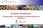 ETANOL EN BRASIL: Perspectivas, Tecnologías y Oportunidades de Negocios.
