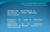 DETENCION, ASISTENCIA AL DETENIDO, Y OTRAS MEDIDAS POLICIALES. Ponente: D. Juan R. Benítez Yébenes Magistrado de la Audiencia Provincial de Málaga. (Sección.