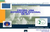 IIIa. REUNION DE COLABORADORES DEL CERSSO EL CERSSO, HOY Rafael Amador Rodezno Director Técnico Regional SAN SALVADOR, EL SALVADOR, FEBRERO DEL 2004.