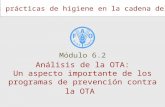 Buenas prácticas de higiene en la cadena del café Análisis de la OTA: Un aspecto importante de los programas de prevención contra la OTA Módulo 6.2.
