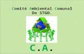 Comité Ambiental Comunal De STGO. C.A.C.C.A.C.. MISIÓN Contribuir al fortalecimiento de los espacios de integración y participación ciudadana para la.