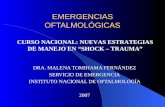 EMERGENCIAS OFTALMOLÓGICAS DRA. MALENA TOMIHAMA FERNÁNDEZ SERVICIO DE EMERGENCIA INSTITUTO NACIONAL DE OFTALMOLOGÍA 2007 CURSO NACIONAL: NUEVAS ESTRATEGIAS.