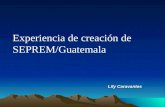 Experiencia de creación de SEPREM/Guatemala Lily Caravantes Lily Caravantes.