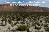 Campaña de Orgullo Bahía de los Ángeles y El Barril.