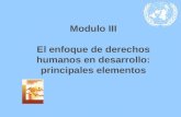 Modulo III El enfoque de derechos humanos en desarrollo: principales elementos.