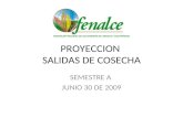 PROYECCION SALIDAS DE COSECHA SEMESTRE A JUNIO 30 DE 2009.