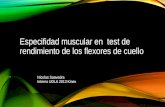Especifidad muscular en test de rendimiento de los flexores de cuello Nicolas Saavedra Interno UDLA 2013 Kinex.