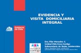 EVIDENCIA Y VISITA DOMICILIARIA INTEGRAL Dra. Pilar Monsalve C. Unidad Chile Crece Contigo Subsecretaría de Redes Asistenciales ( Subsecretaría de Redes.