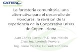 La foresteria comunitaria, una alternativa para el desarrollo de Honduras: la revisión de la experiencia de la Cooperativa Brisas de Copen, Iriona Juan.