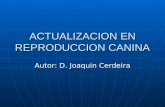 ACTUALIZACION EN REPRODUCCION CANINA Autor: D. Joaquin Cerdeira.