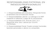 RESPONSABILIDAD PATRONAL EN RIESGOS PROFESIONALES 1- Responsabilidad administrativa: Responde frente al Ministerio de la Protección Social. 2- Responsabilidad.
