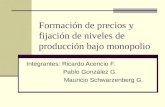 Formación de precios y fijación de niveles de producción bajo monopolio Integrantes: Ricardo Acencio F. Pablo González G. Mauricio Schwarzenberg G.