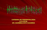CATEDRA DE FISIOPATOLOGIA U.A.G.R.M. DR. MARIBELCAYO CACERES.