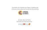 Comisión de Medios de Pago y Antifraude Cámara Colombia de Comercio Electrónico Andrés Bernal Peña Gerente de Operaciones.